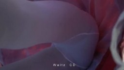 Waltz2018 17