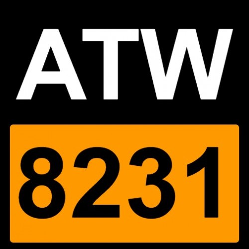 ATW8231's avatar